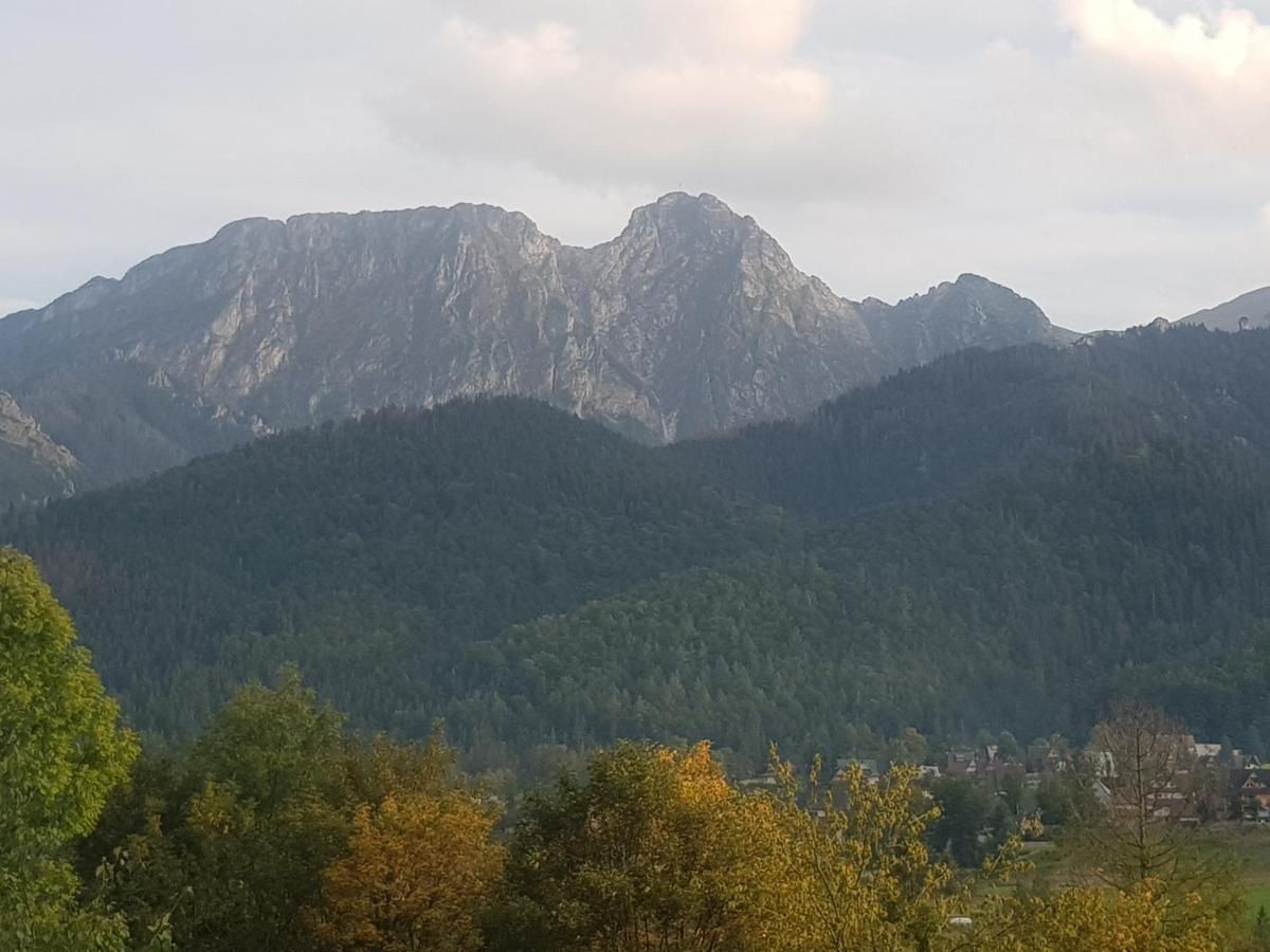 Apartament Sobiczkowa Zakopane Kościelisko Εξωτερικό φωτογραφία